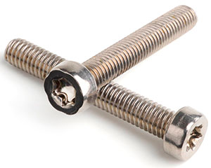 M6 X 55/55 TX30 LOW HEAD CAP SCREW ISO 14580 A2 ST/ST