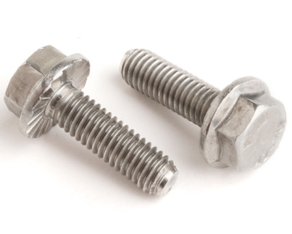 Stainless Steel Serrated Flanged Hexagon Bolts