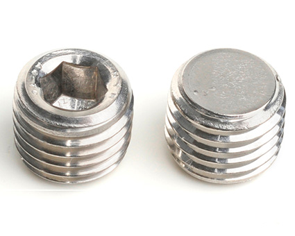 Stainless Steel Socket Pipe Plugs