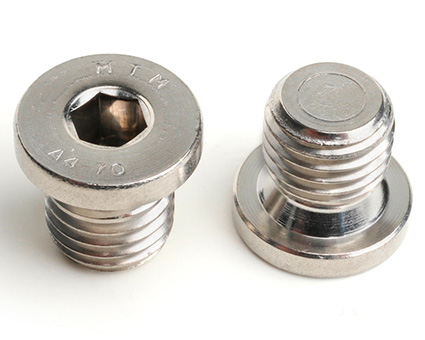Stainless Steel Socket Pipe Plugs with Collar